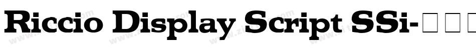 Riccio Display Script SSi字体转换
